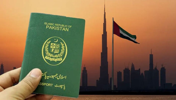 UAE new visit visas